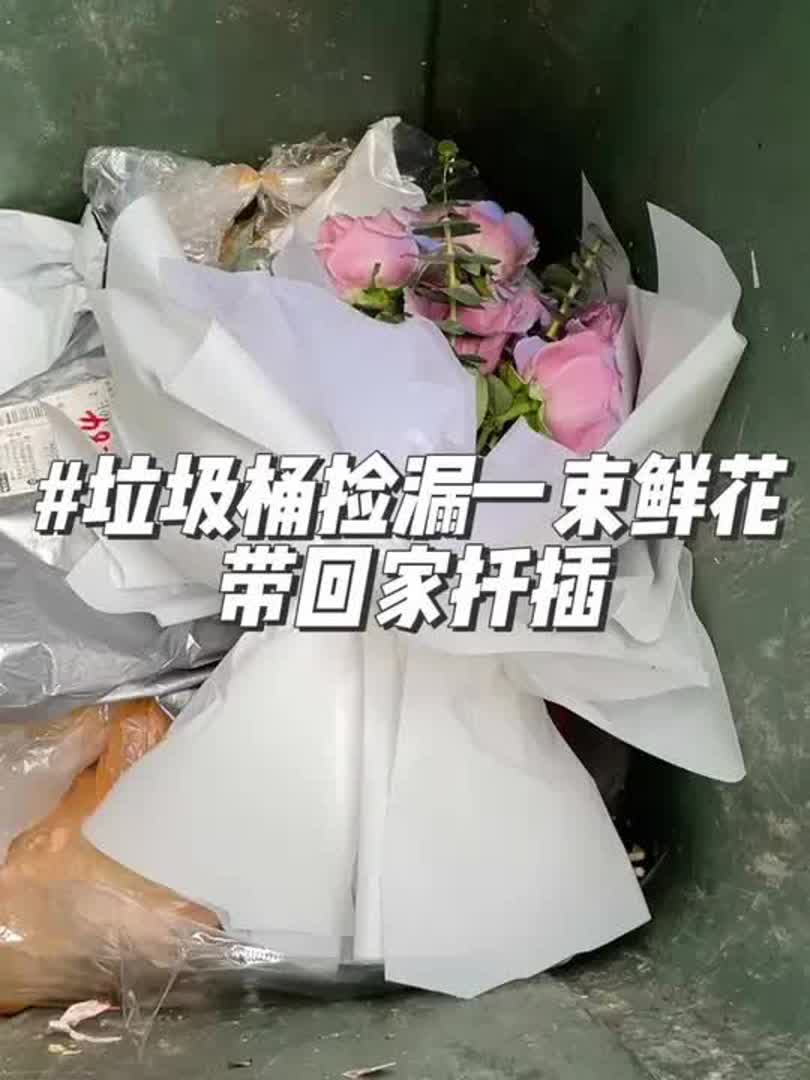 在垃圾桶捡漏一束鲜花,这种鲜切花可以带回家扦插