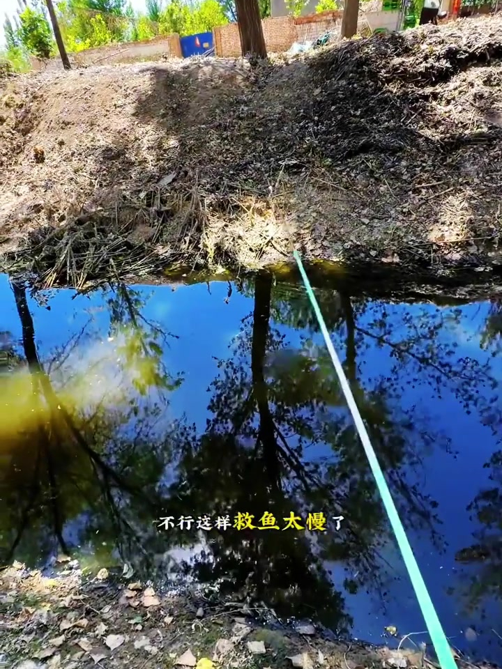 这谁能想到村口臭水沟里竟然这么多鱼,钓鱼的乐趣只有钓鱼人懂