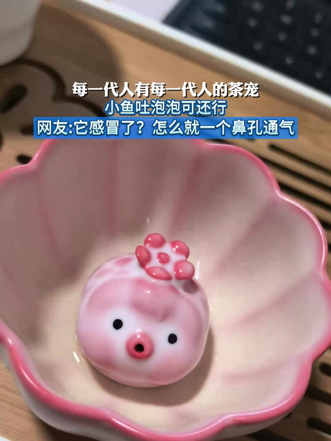 每一代人有每一代人的茶宠,小鱼吐泡泡可还行