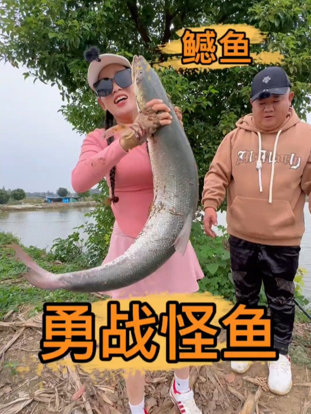 老板悬赏高手抓怪鱼(第二集)耗时两天终如愿结局让老板刮目相看