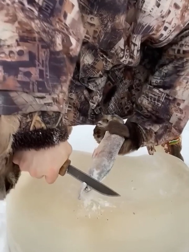 你知道在零下几十度的环境下,外国人是怎么吃鱼的吗?开眼界了