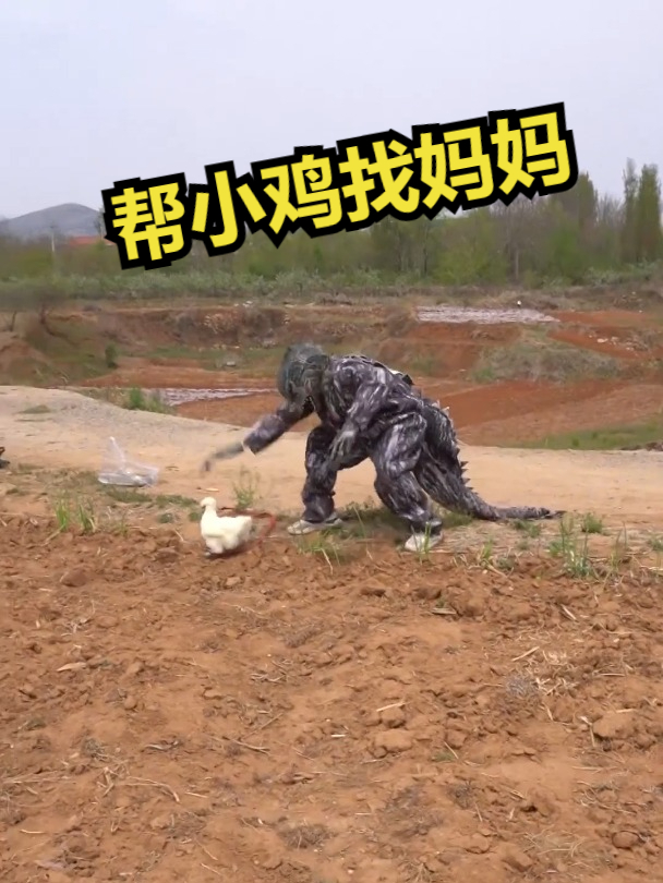 帮小鸡找妈妈!