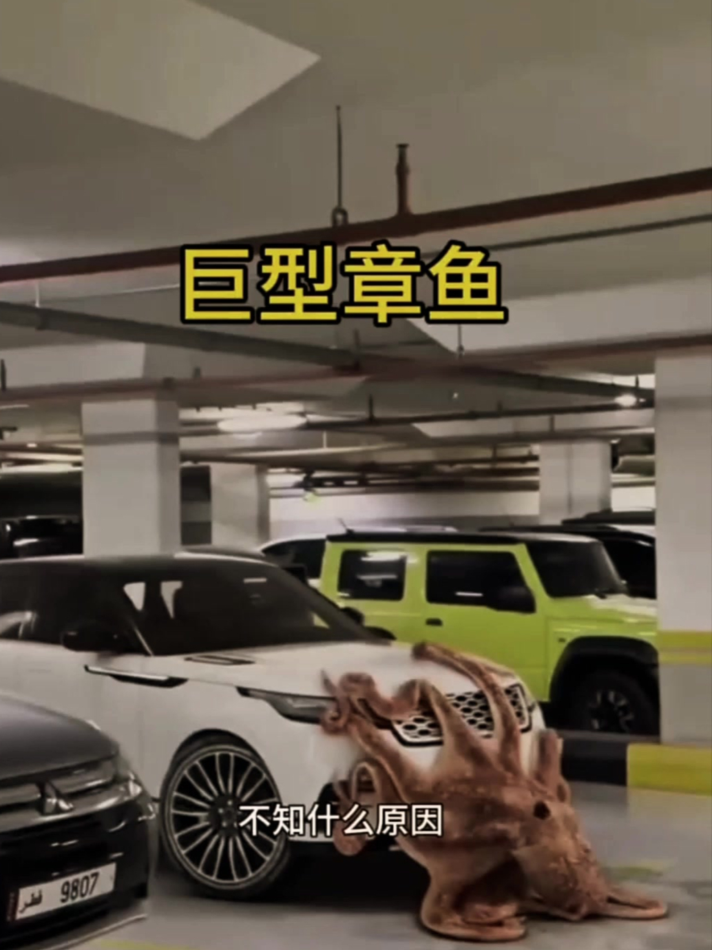 爬上汽车的巨型章鱼