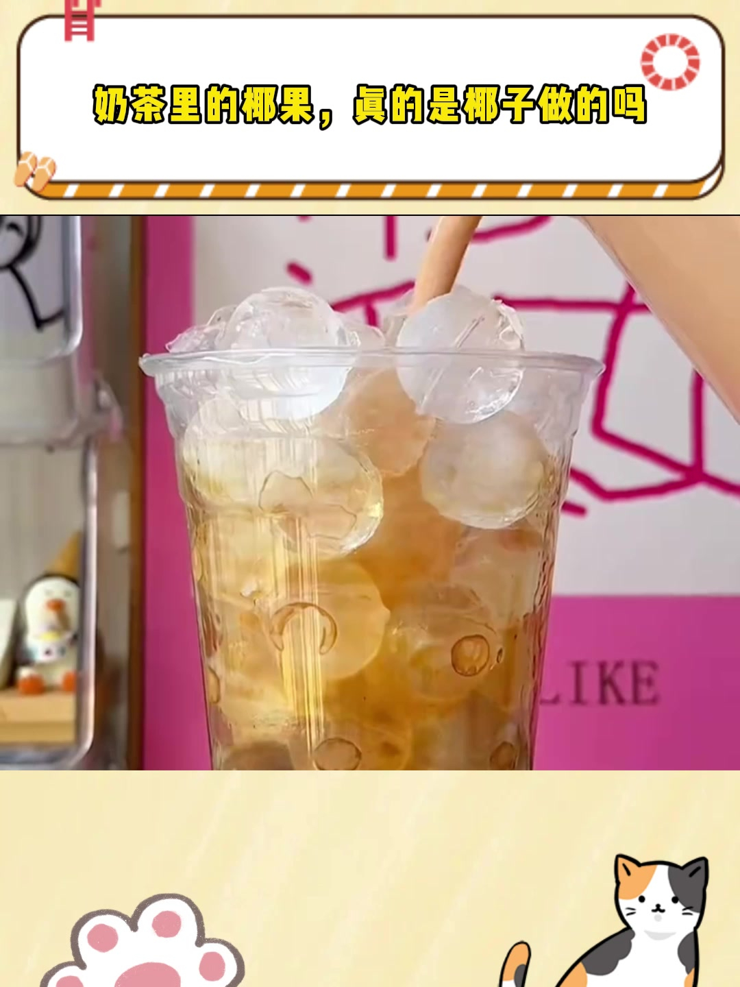 奶茶里的椰果,真的是椰子做的吗
