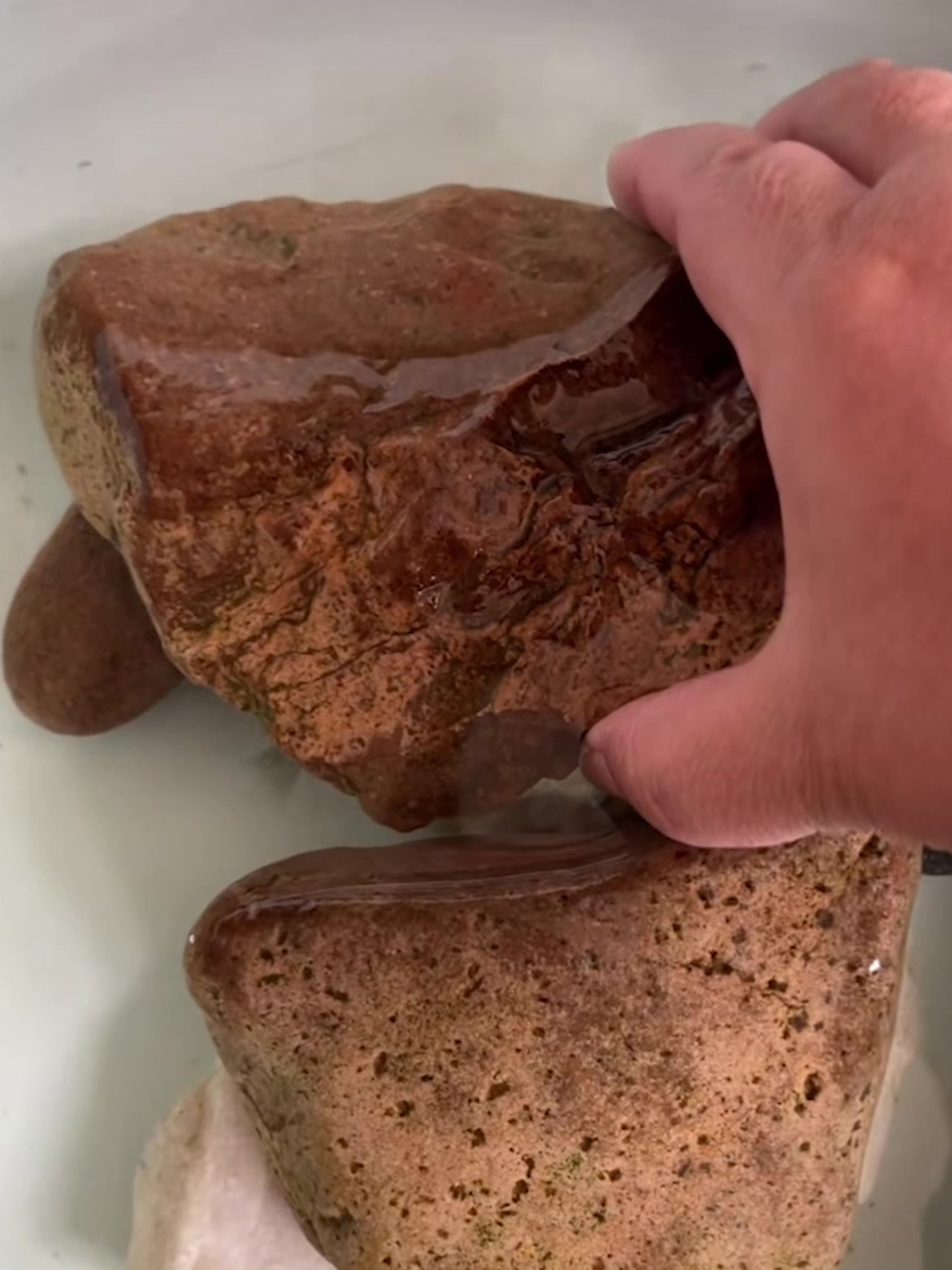 给生病的小鱼喂药