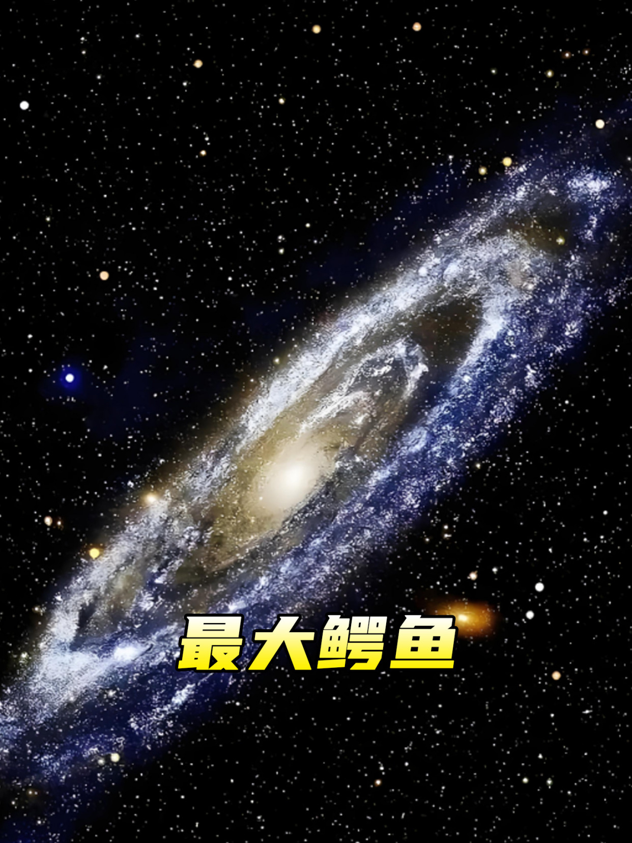 史上最大鳄鱼有多大,曾把恐龙当食物