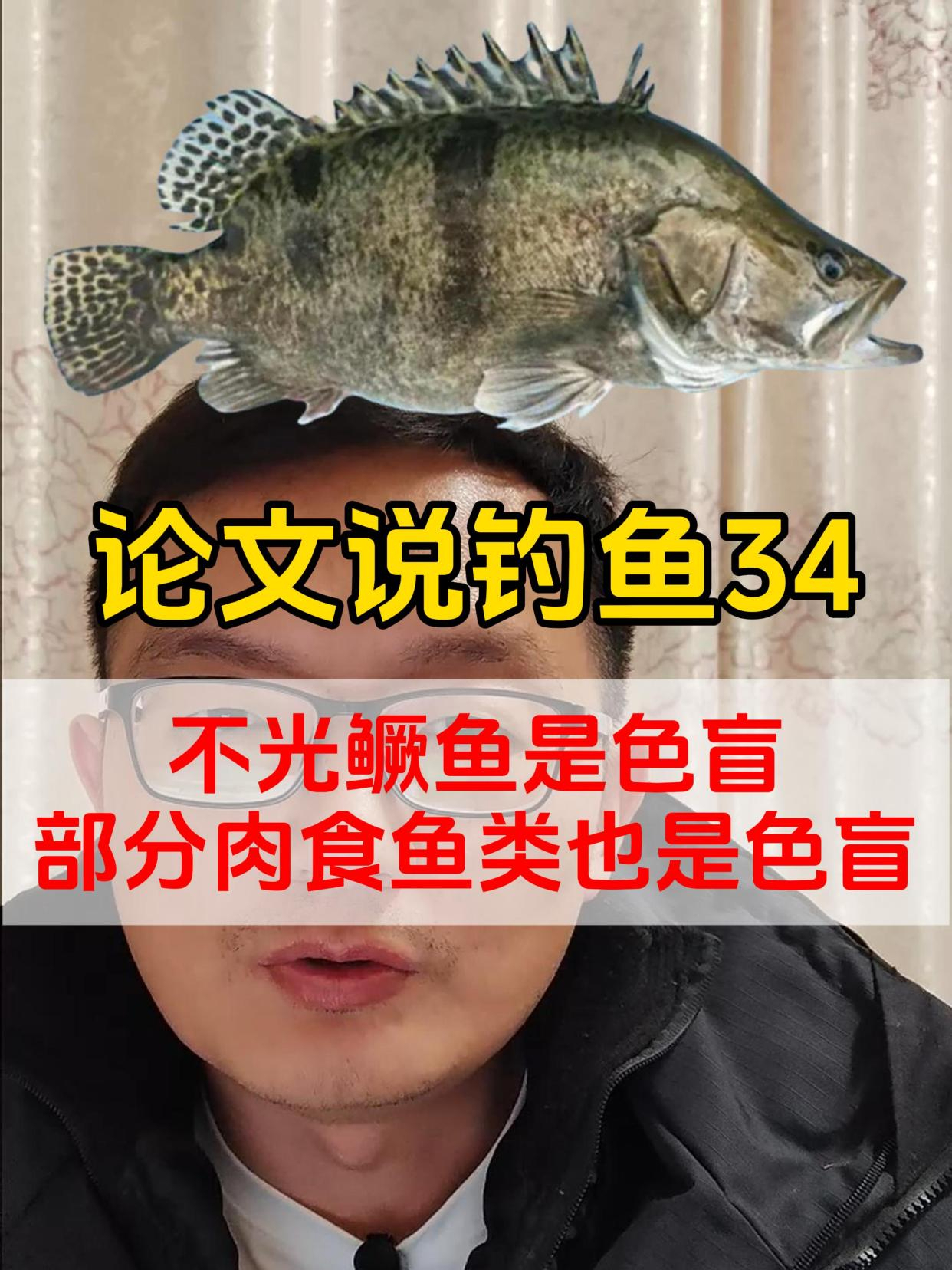 鳜鱼是色盲,部分肉食鱼种也是色盲