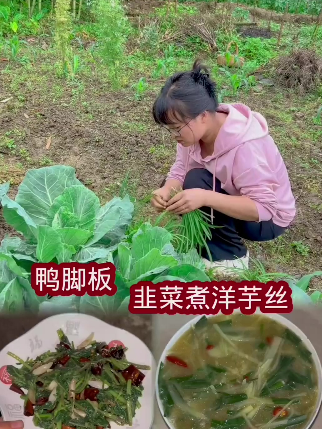 第一次吃野菜鸭脚板,味道出乎了我的意料