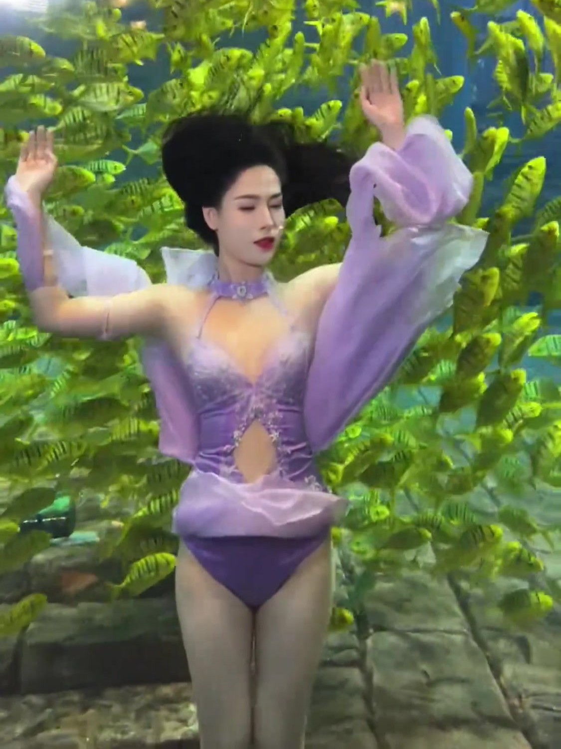 北海海底世界人鱼小姐姐,和鱼群们翩翩起舞,网友:怎么做到水下那么自然,像是会呼吸一样