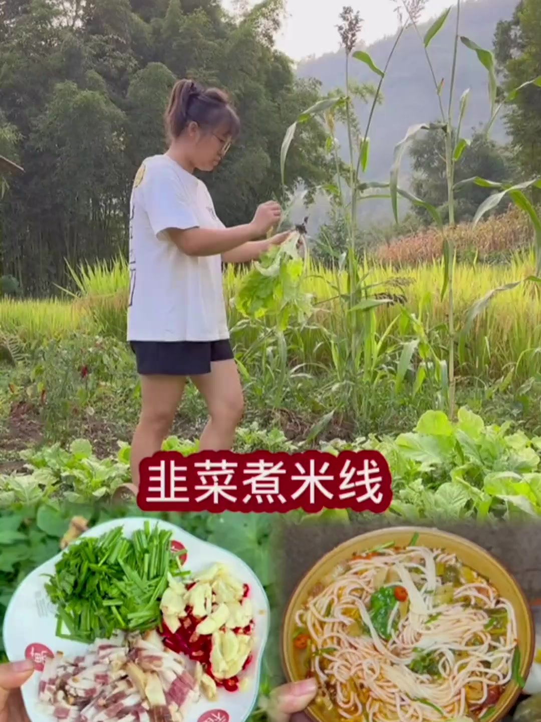 韭菜煮米线,真的很好吃,就是煮太多了,没吃完分猪吃了