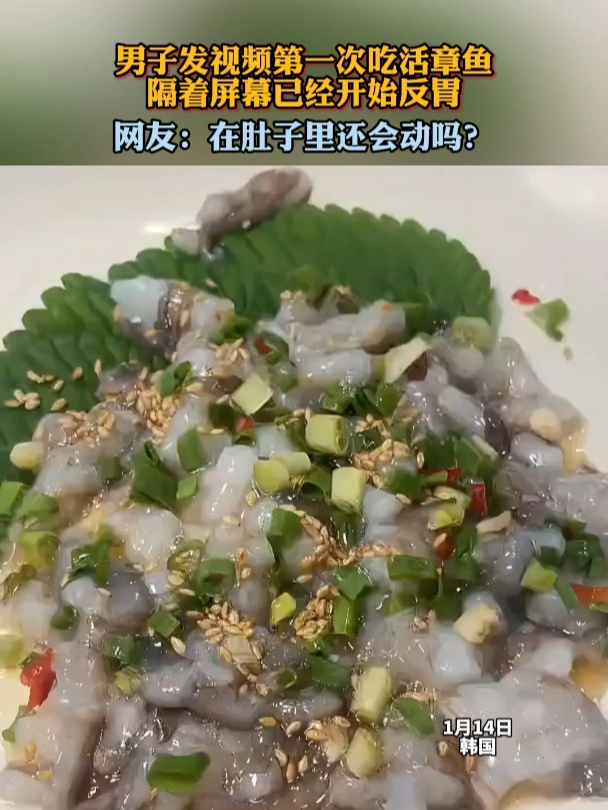 男子发视频第一次吃活章鱼隔着屏幕已经开始反胃