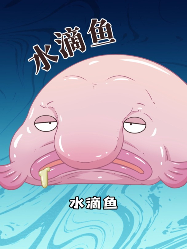 世界上最丑的水滴鱼告诉你,压力失衡真的会变丑哦!
