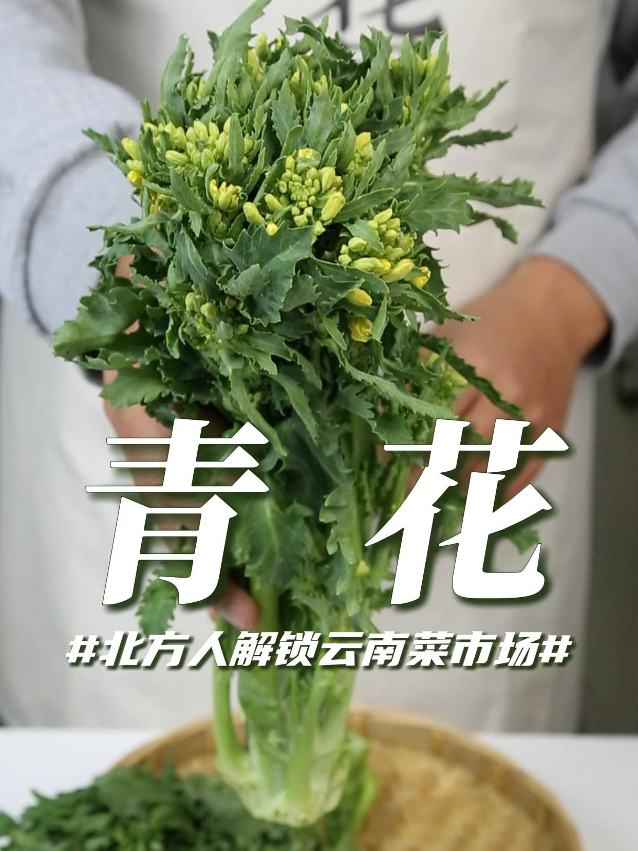 云南超小众冷门蔬菜!味道又甜又清脆,比“西兰花”好吃多了……