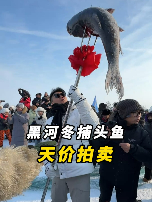 一条头鱼多少钱?果然咱们东北老铁的包鱼塘就是嘎嘎霸道!