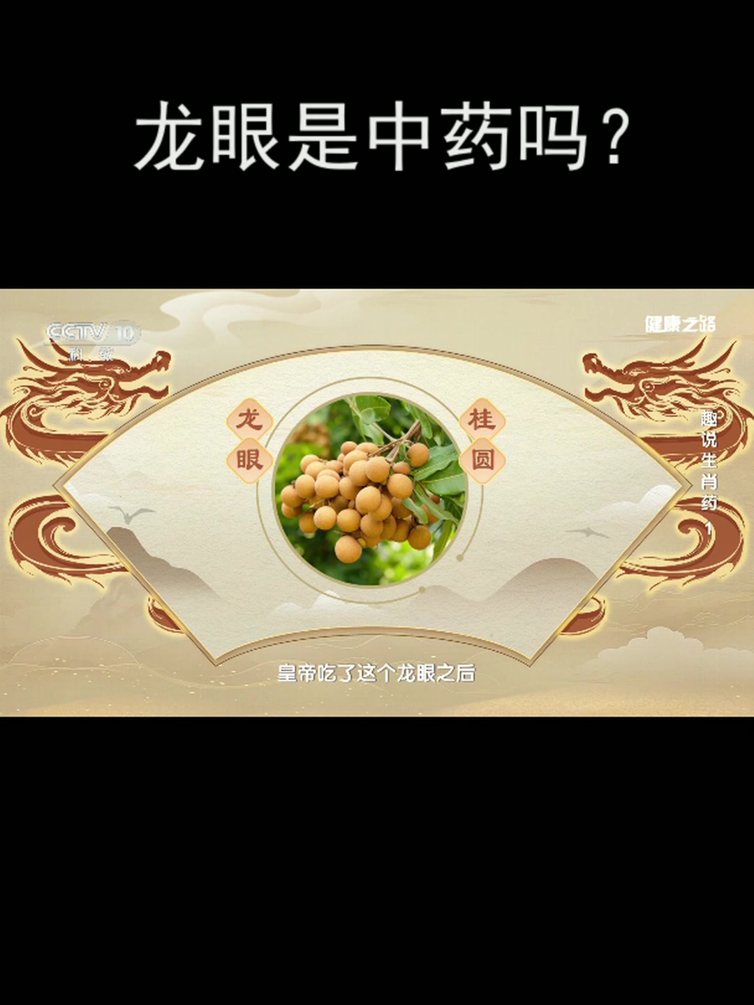 龙眼是中药吗?