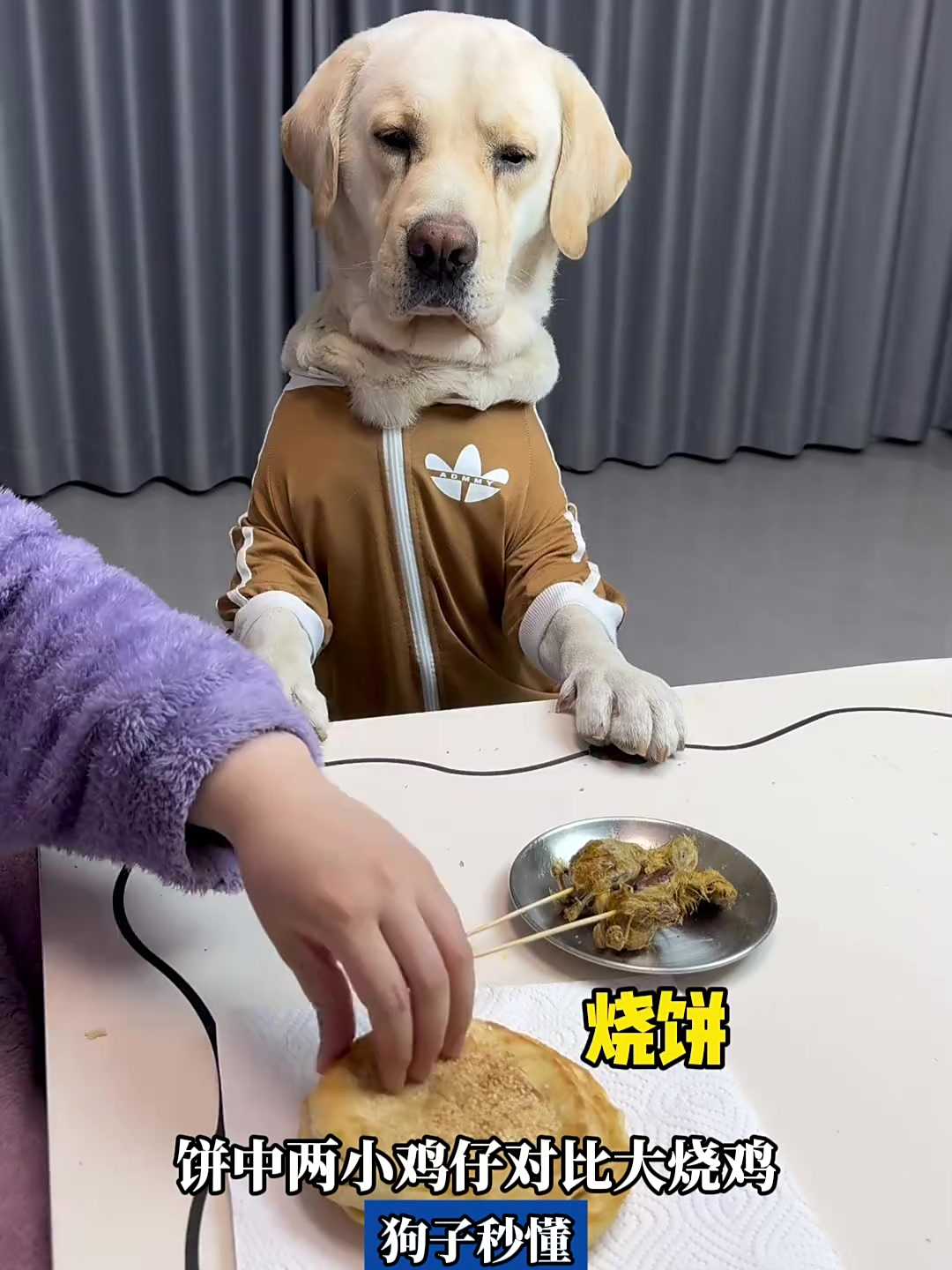 饼中两小鸡仔对比大烧鸡,狗子秒懂,表情写满 “主人套路深”