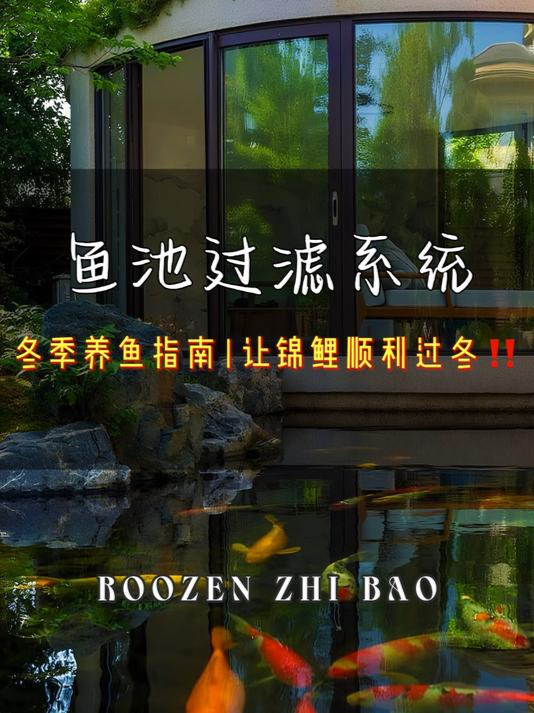 冬季养鱼必备指南:确保鱼儿顺利过冬