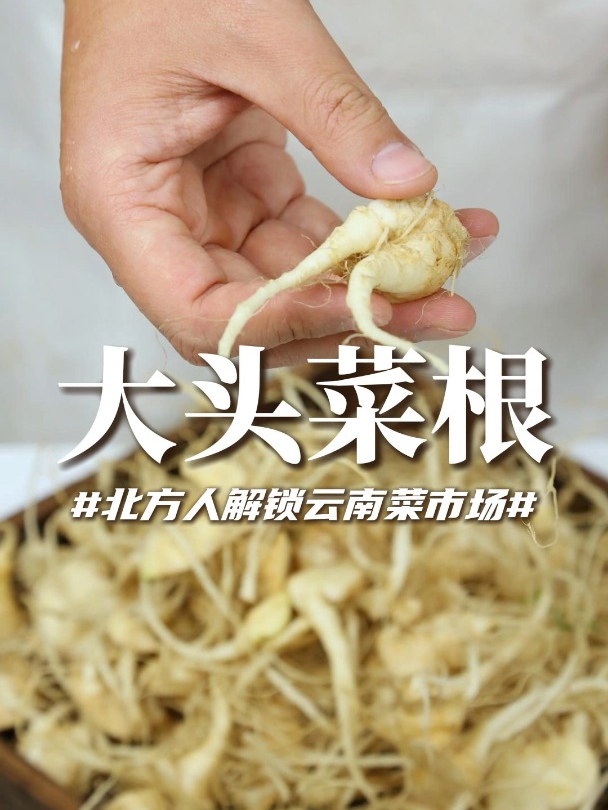 “大头菜根”也可以吃!腌四五天就好,又脆又辣味道还不错……