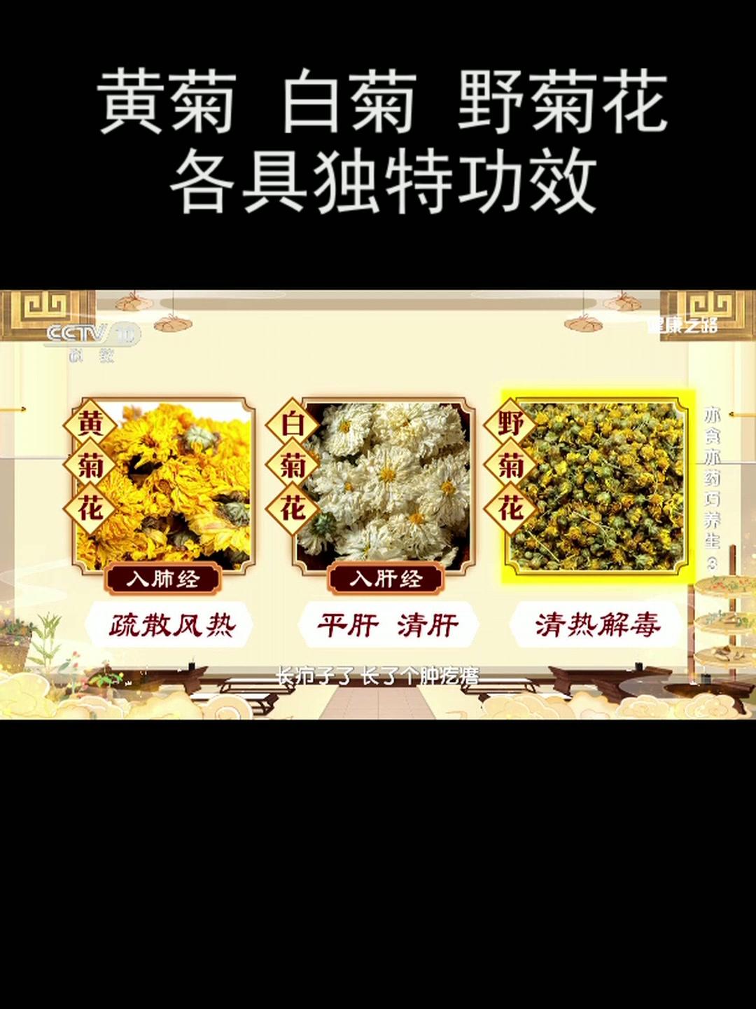 黄菊 白菊 野菊花 各具独特功效