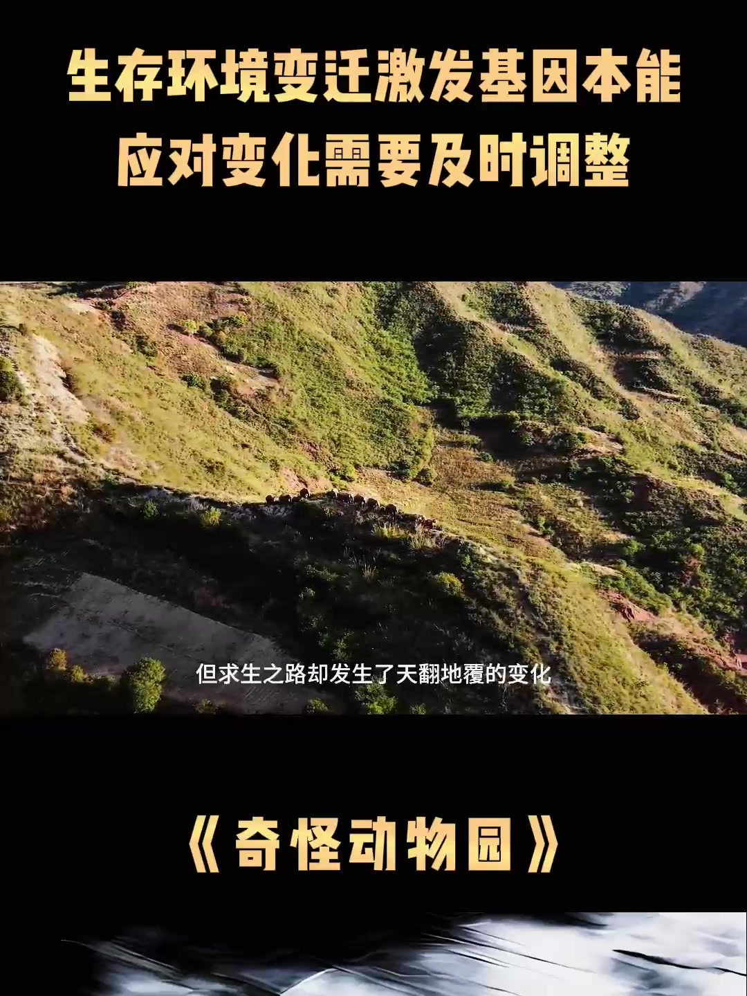 生存的残酷之路,每个物种都只想活下去