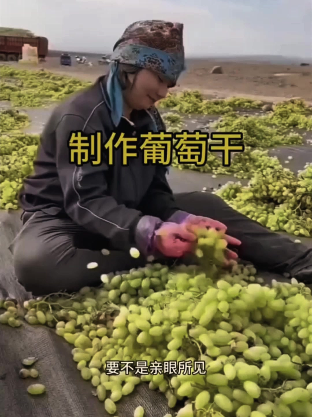 阿姨制作葡萄干的过程
