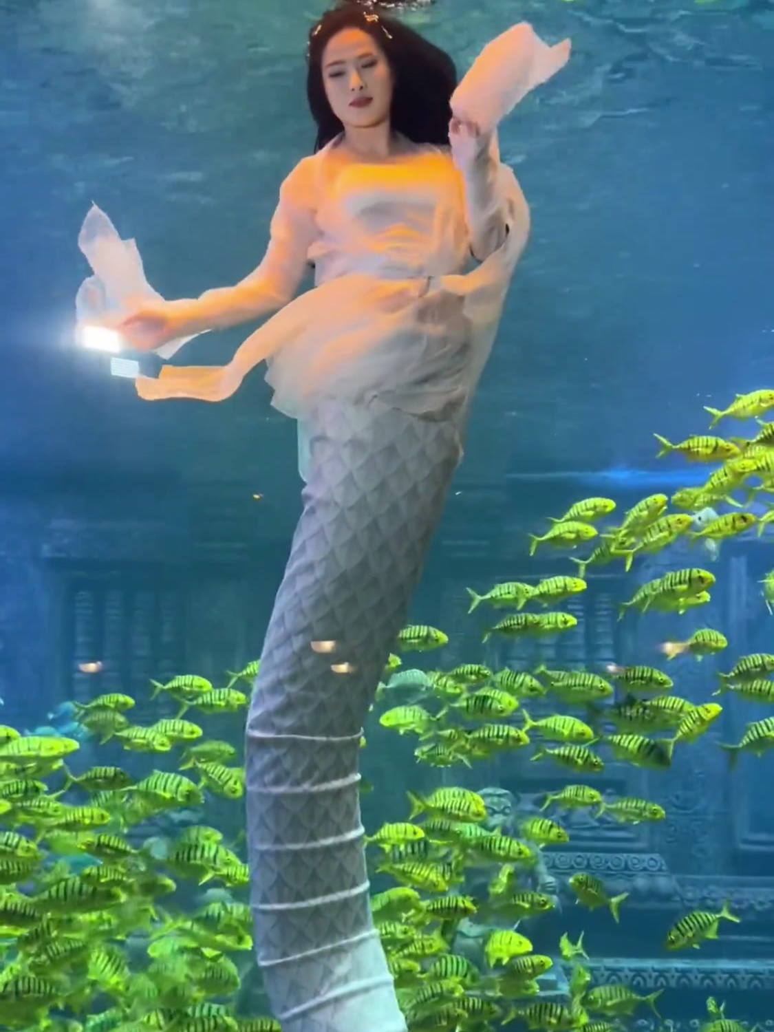 北海海底世界的美人鱼小姐姐今天不穿人鱼尾了,有了新尾巴