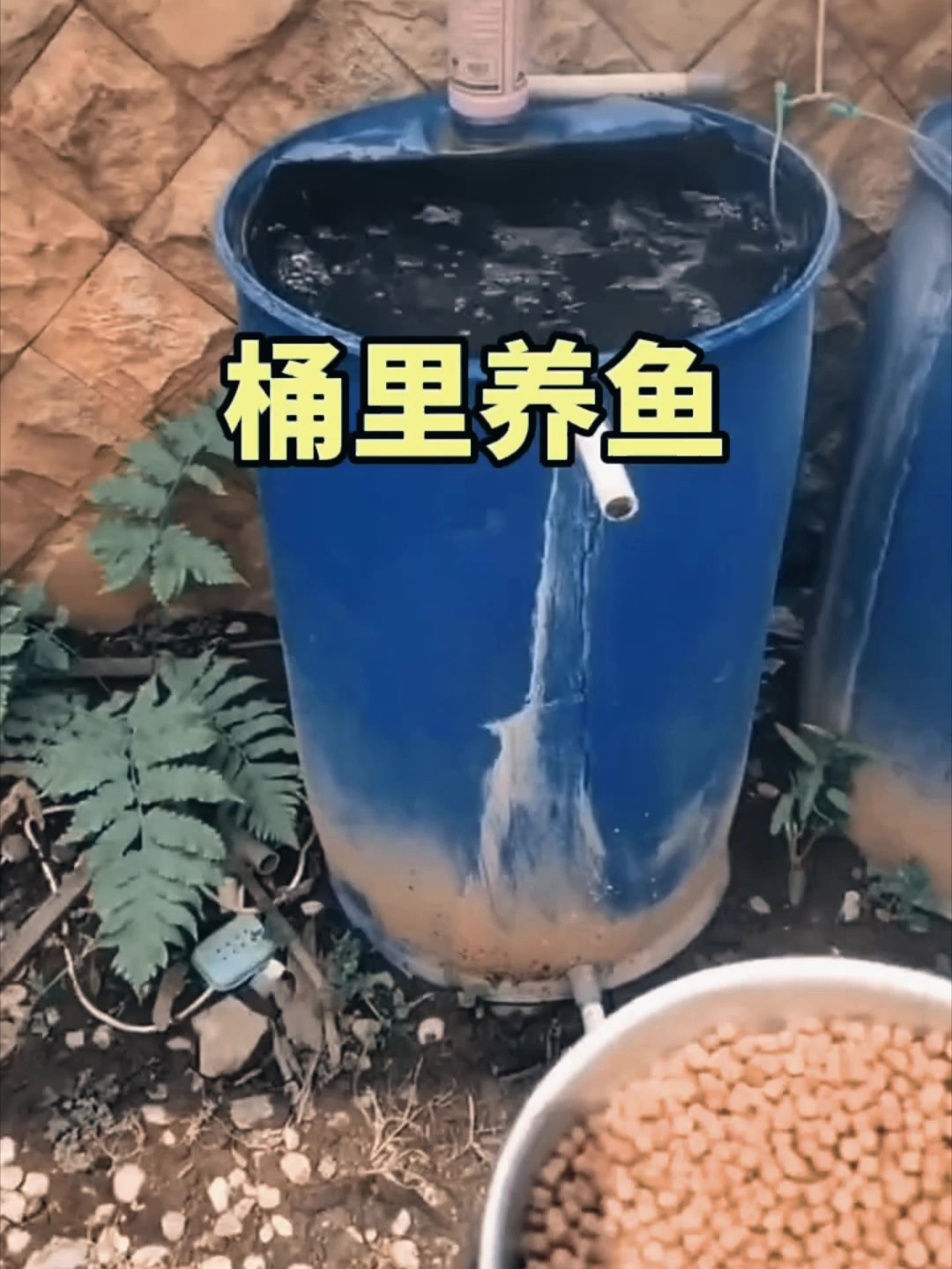 老表自制的养鱼桶