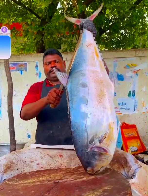 外国人都是如何处理大鱼的,印度人杀鱼的方式看起来很独特很解压