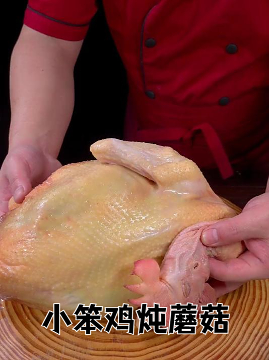 小笨鸡炖蘑菇