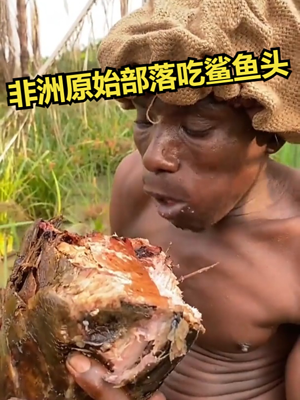 非洲原始部落吃鲨鱼头