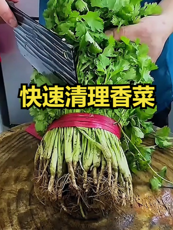快速清理香菜!