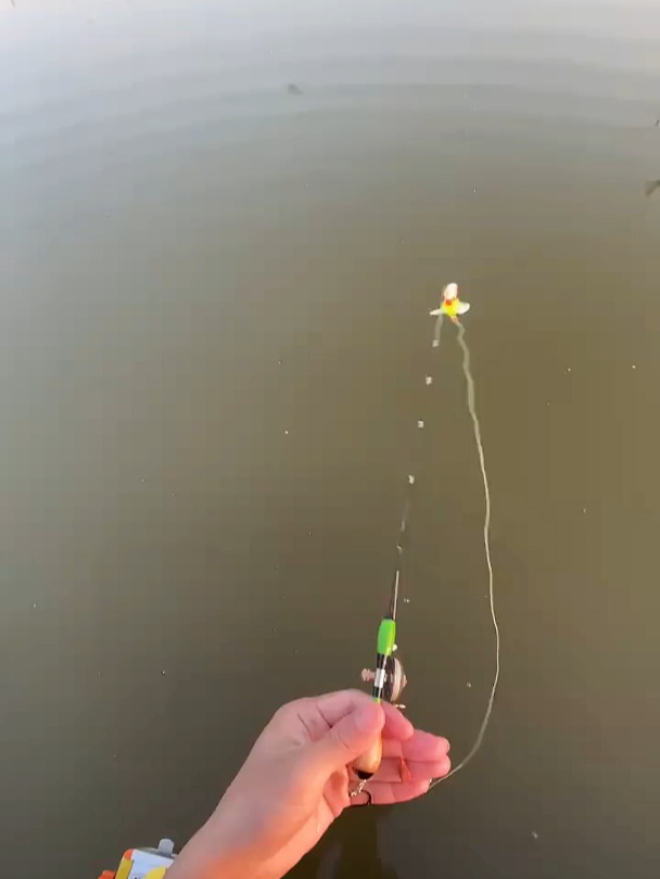 这么小的鱼杆,竟然也能钓到鱼?