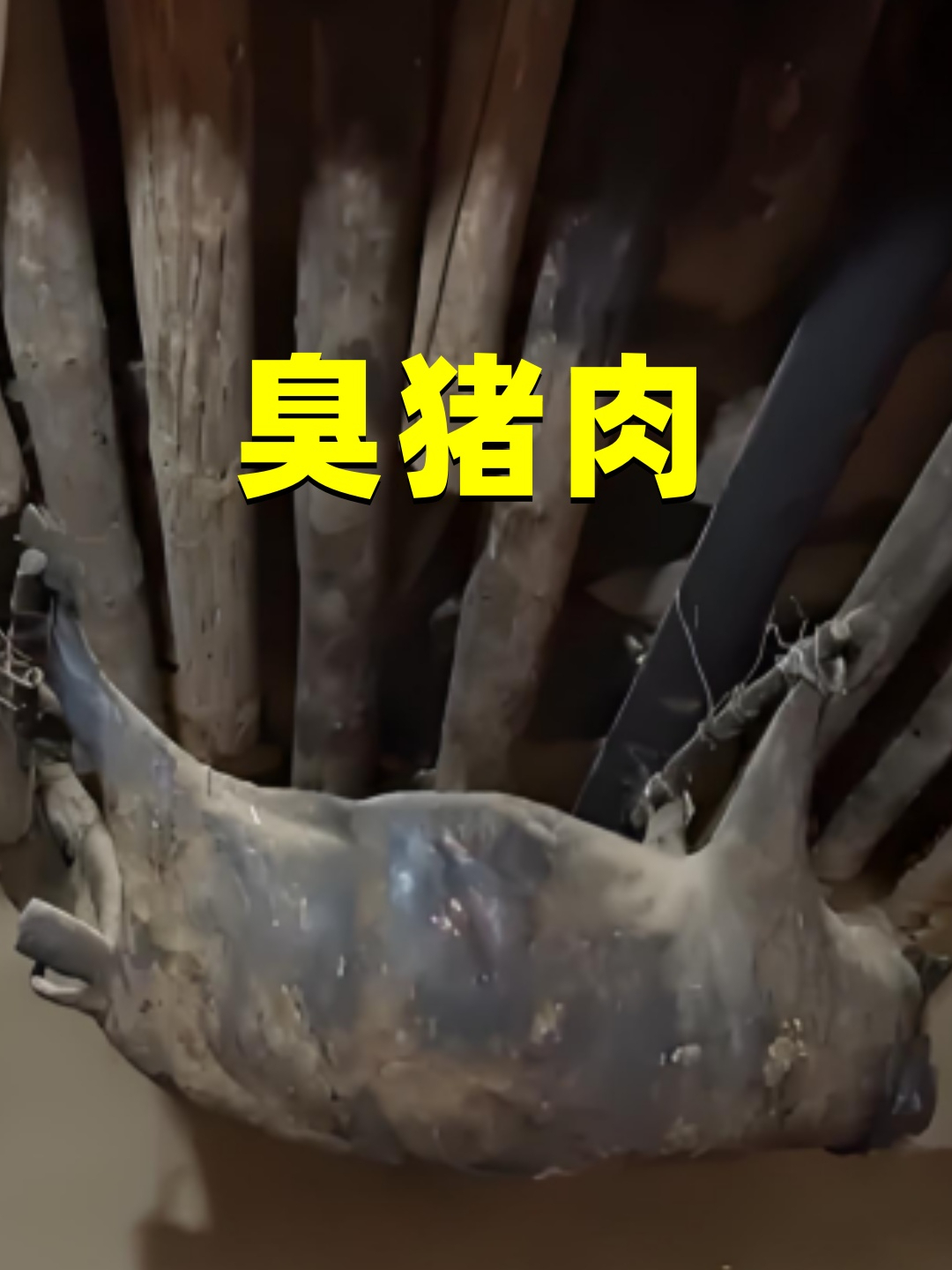 死猪房梁上挂50年,猪肉发黑发臭,竟用来招待贵宾?