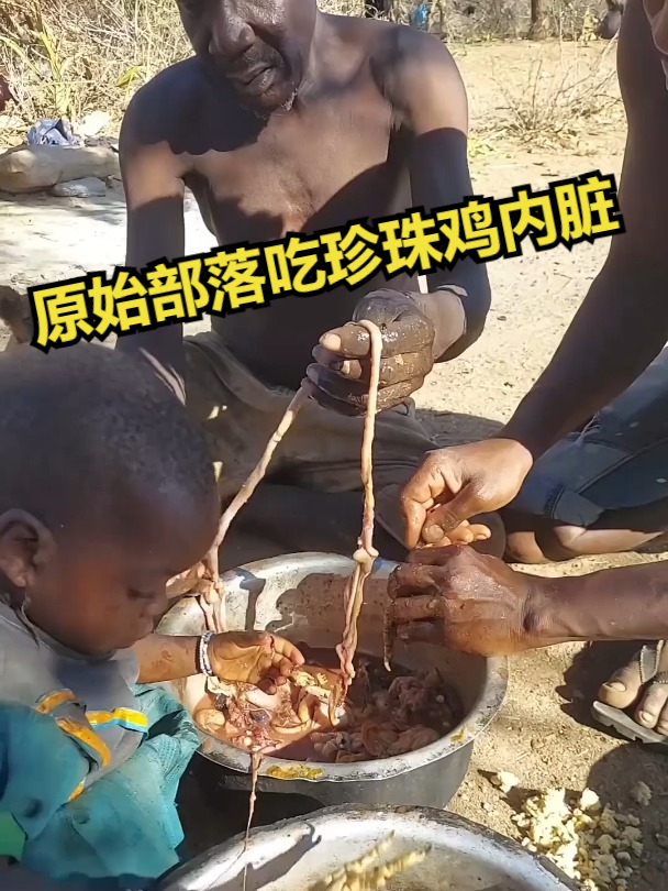 非洲原始部落吃珍珠鸡内脏