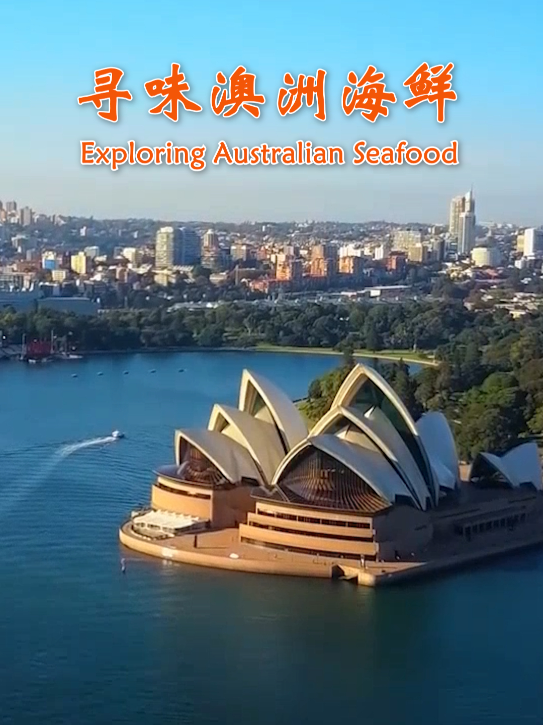 寻味澳洲海鲜