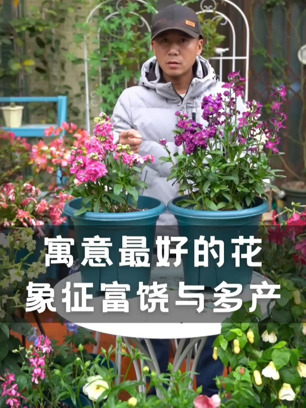 寓意最好的花,象征富饶与多产,花语代表永恒的美与爱