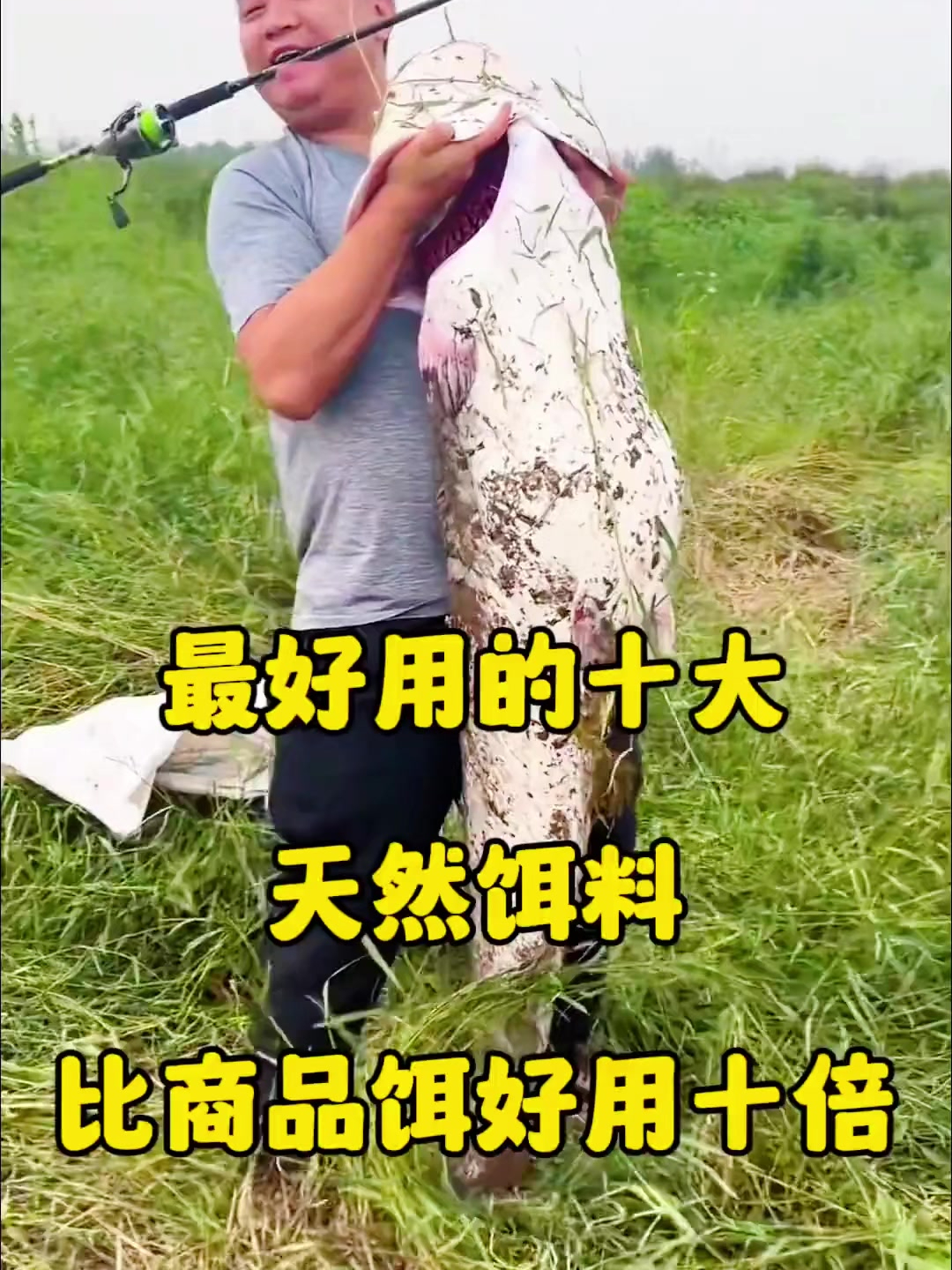 最好用的十大天然饵料,比商品饵好用十倍