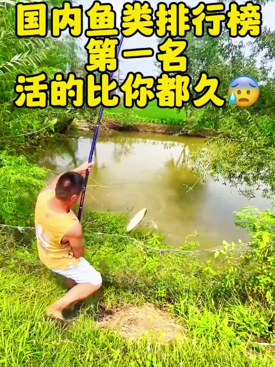 国内鱼类寿命排行榜,第一名活的比你都久