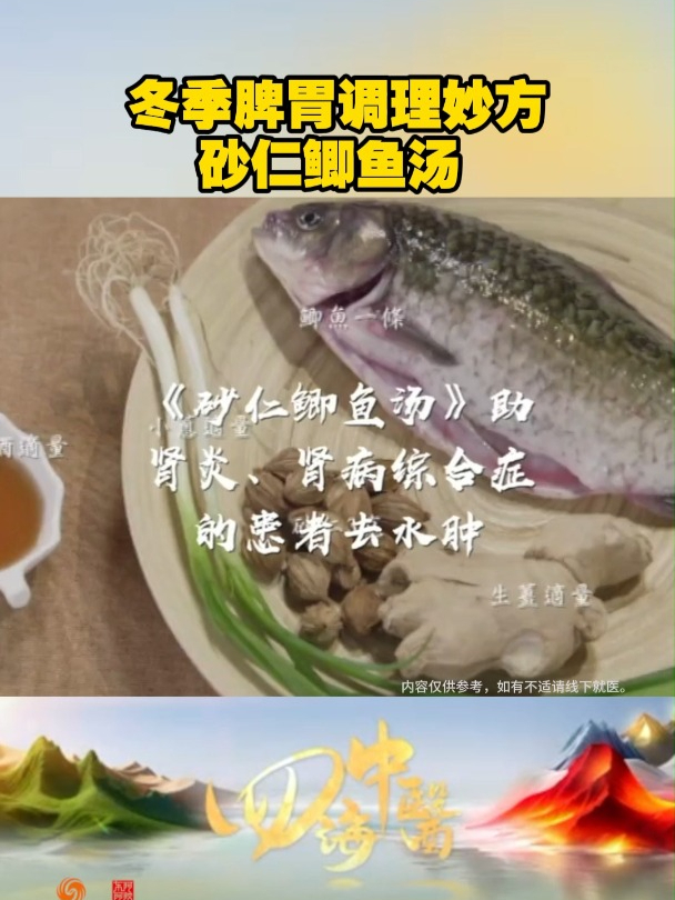四海中医 快来领取你的冬季脾胃调理妙方——砂仁鲫鱼汤