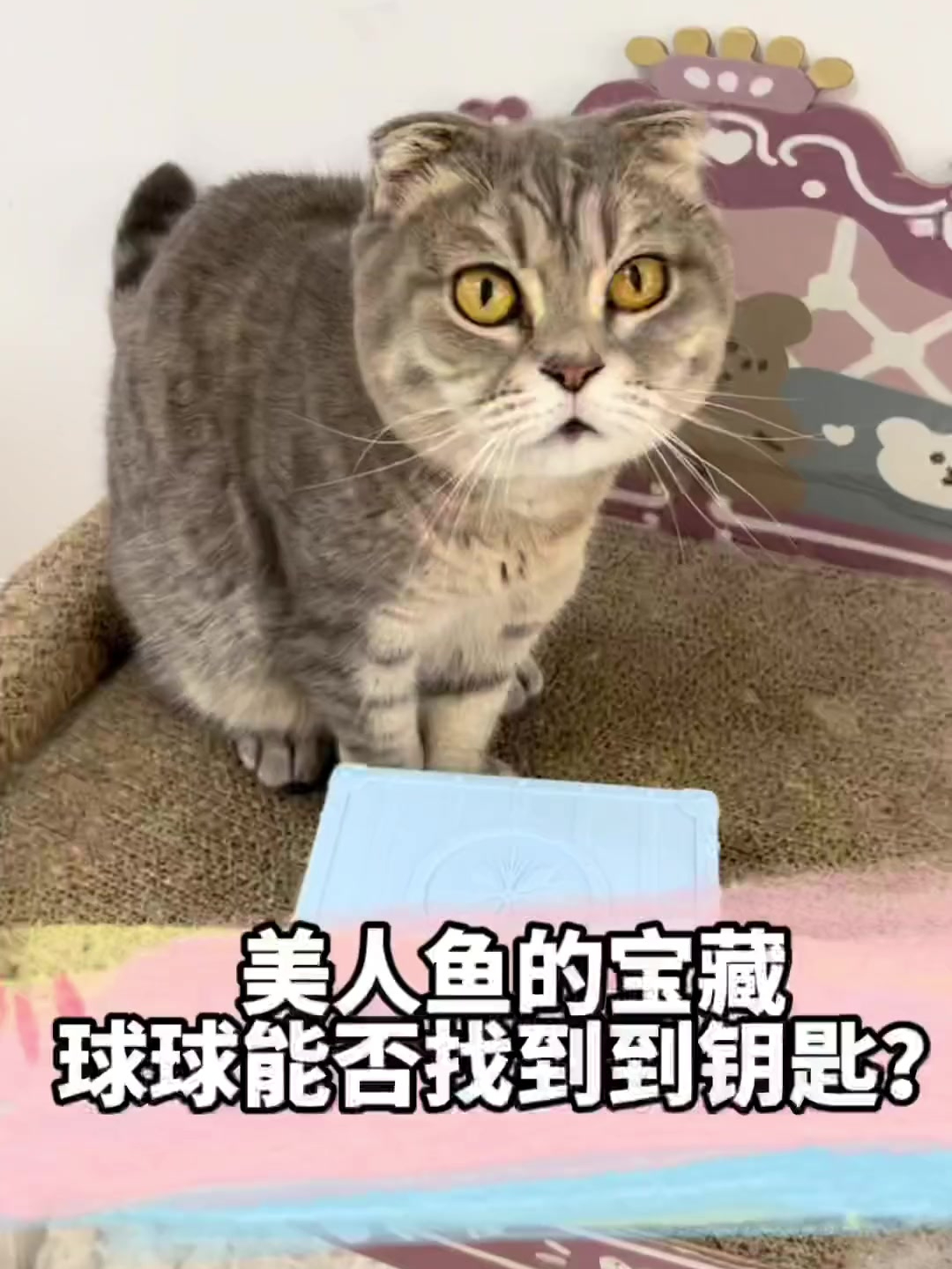 寻找美人鱼宝盒的钥匙,这回球球可多了个竞争对手!