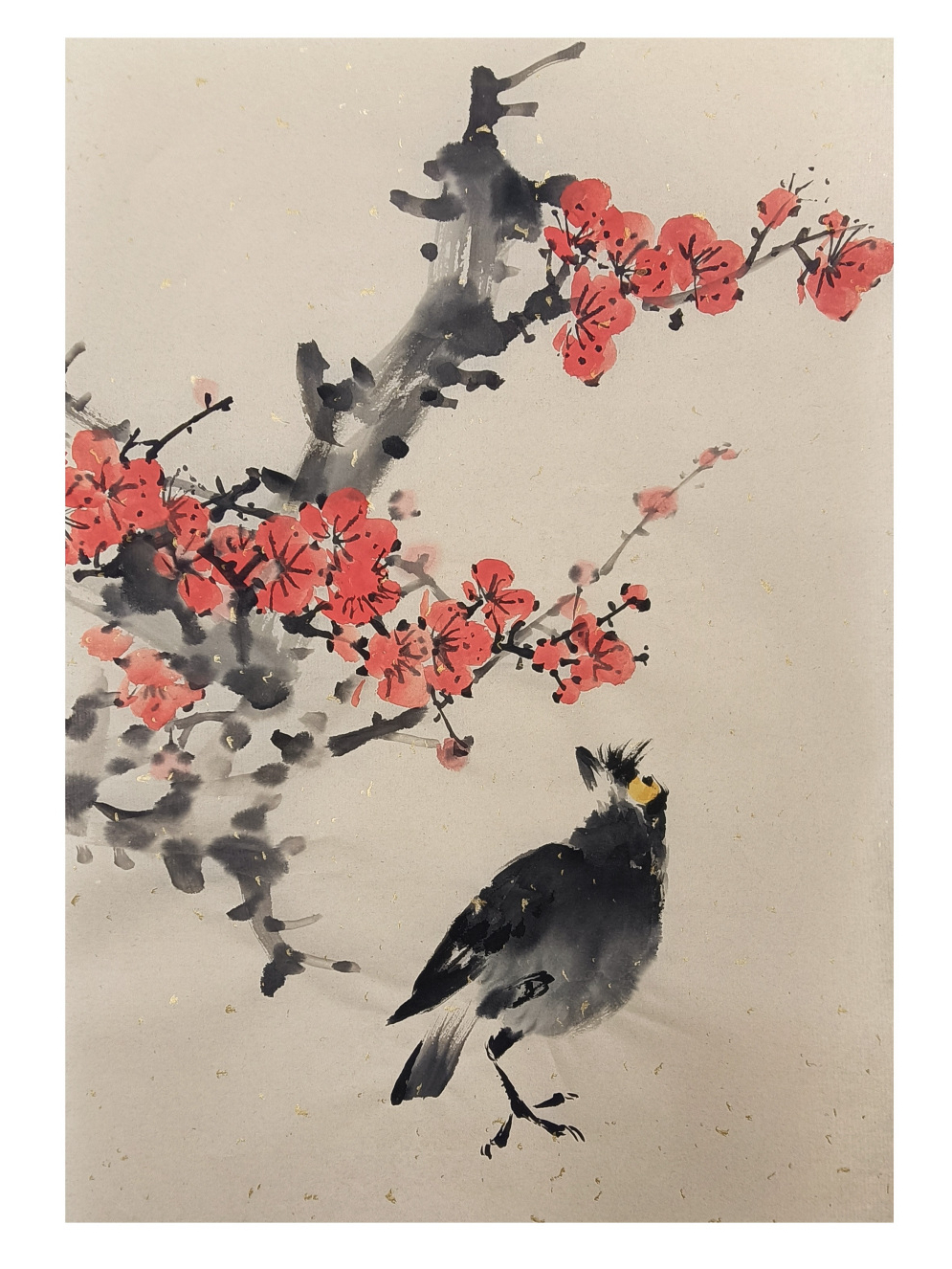国画随笔八哥梅花