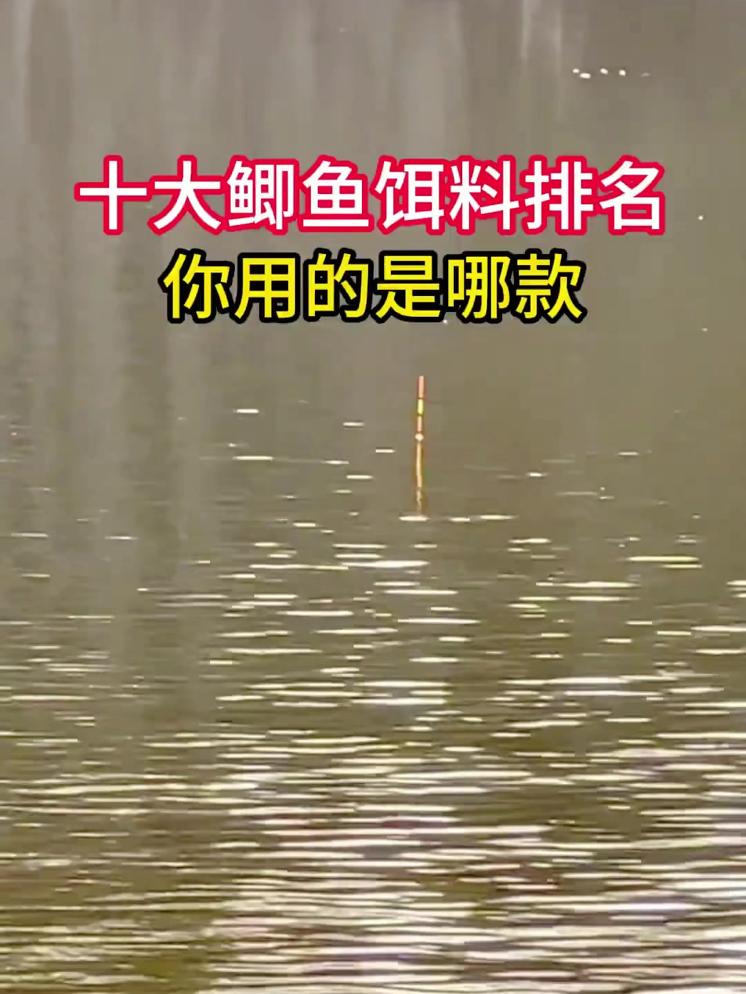 十大鲫鱼饵料排行榜,你都用过哪款