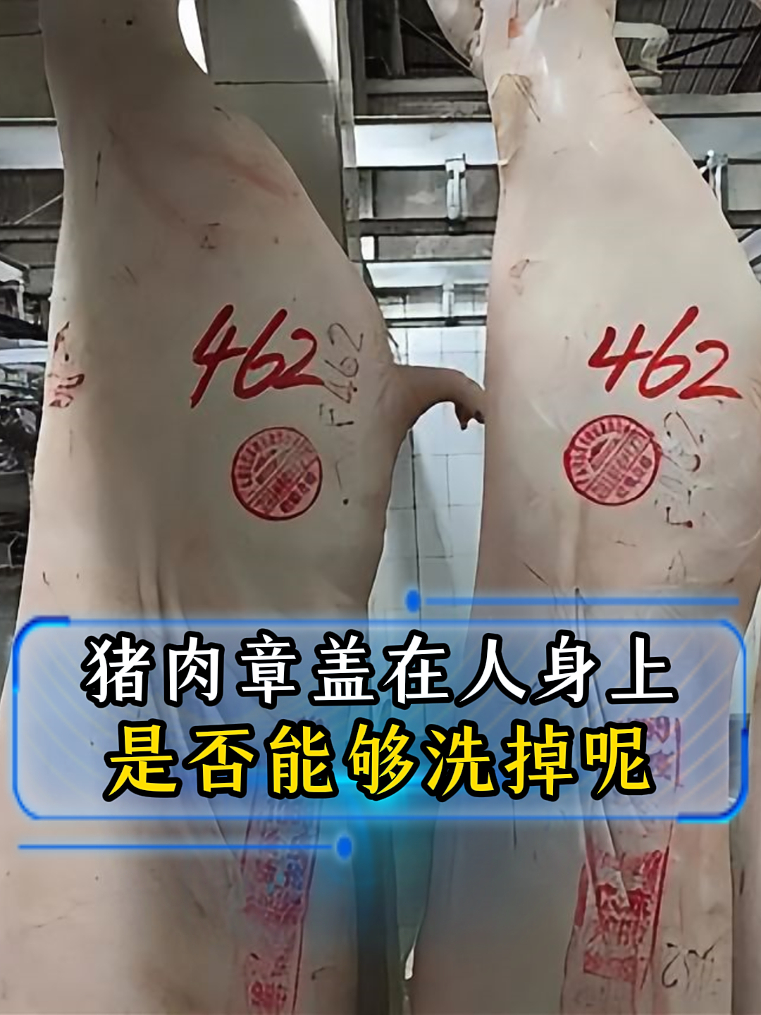 猪肉出厂时会盖章,此章盖在人的皮肤上,能不能洗掉呢?涨知识了