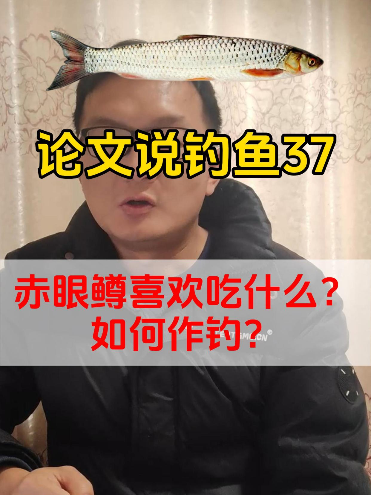 赤眼鳟喜欢吃什么?如何作钓?