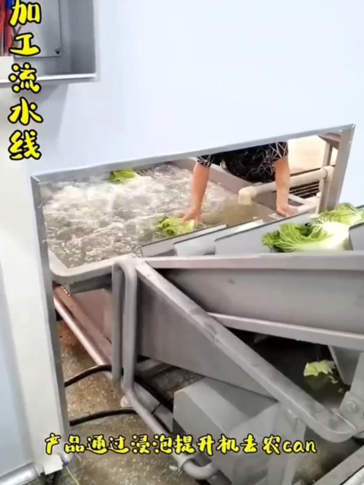 净菜加工设备之白菜切菜、洗菜、包装生产线,提高效率,效果好