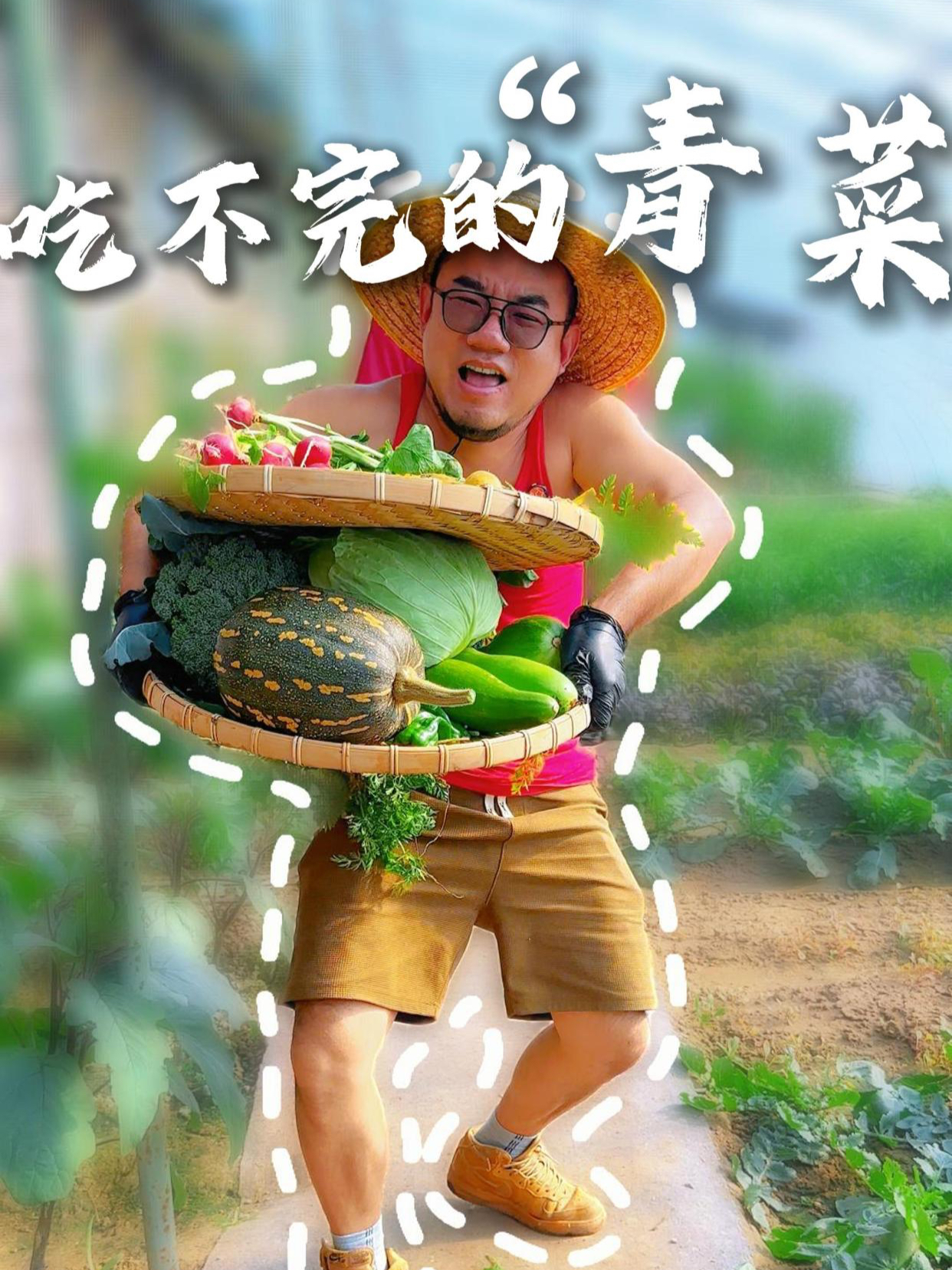 冬天的菜园子,沙漠里的宝