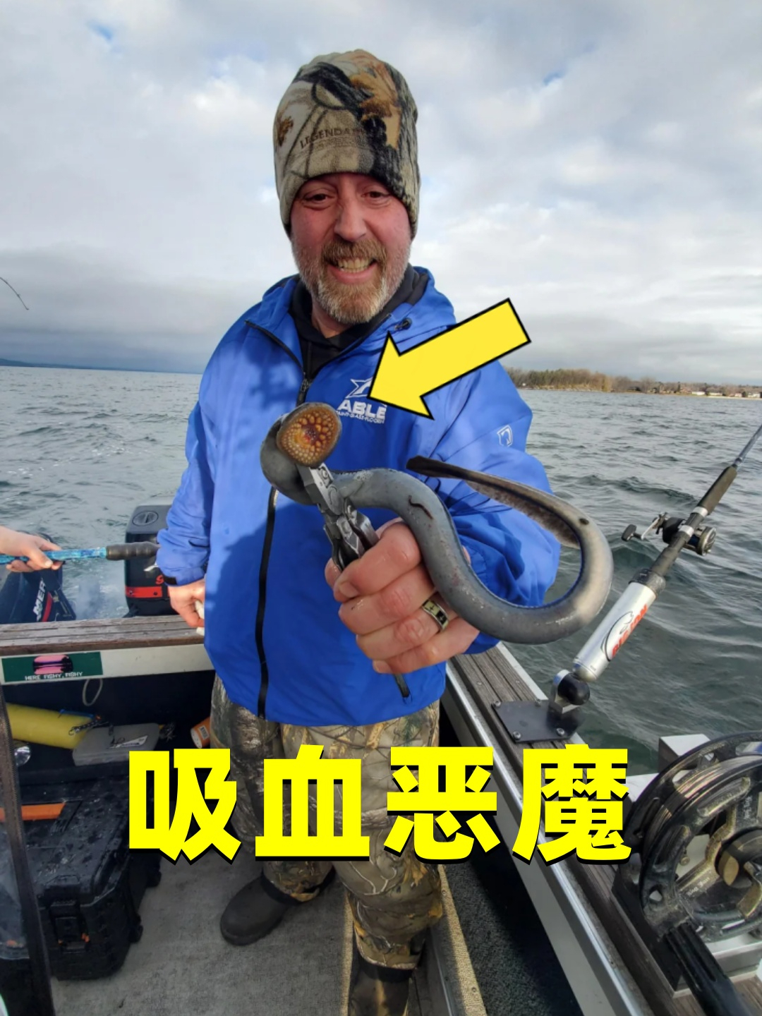 活了3.6亿年的活化石,外形犹如外星生物,七鳃鳗到底有多恐怖?