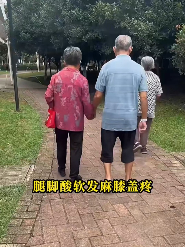 《想要自由活动?氨糖软骨片助力打造健康关节》