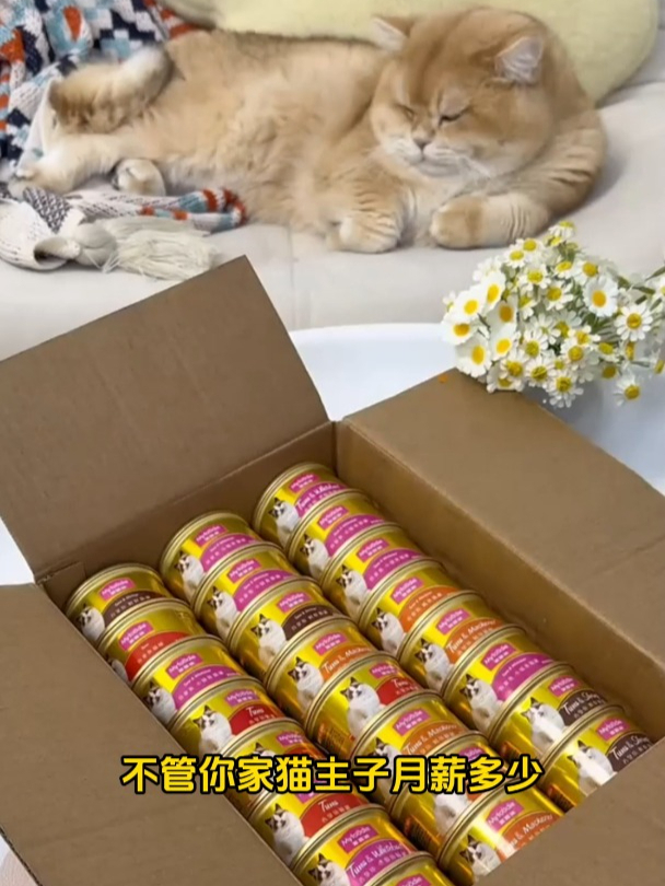 麦富迪小金罐大放异彩:白肉吞拿鱼猫咪罐头,美味健康的完美结合