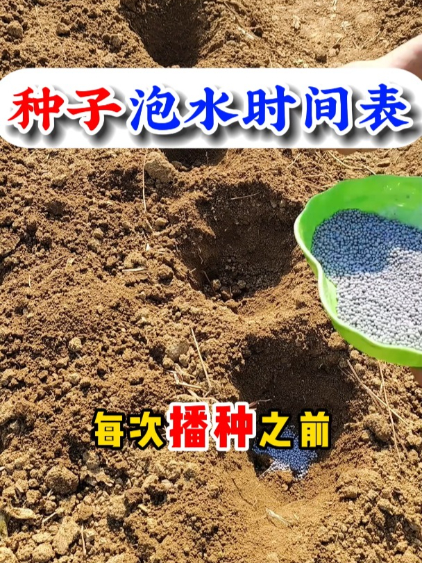 一个视频给大家总结了各种种子的泡水时间表,快来学起来